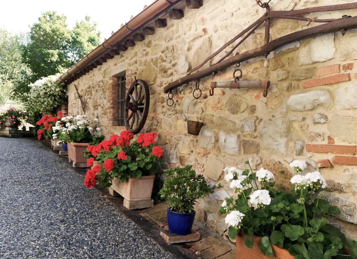 الشقق الفندقية ريباربيلافي  Agriturismo Terenzana المظهر الخارجي الصورة