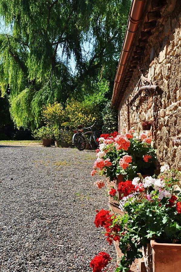 الشقق الفندقية ريباربيلافي  Agriturismo Terenzana المظهر الخارجي الصورة