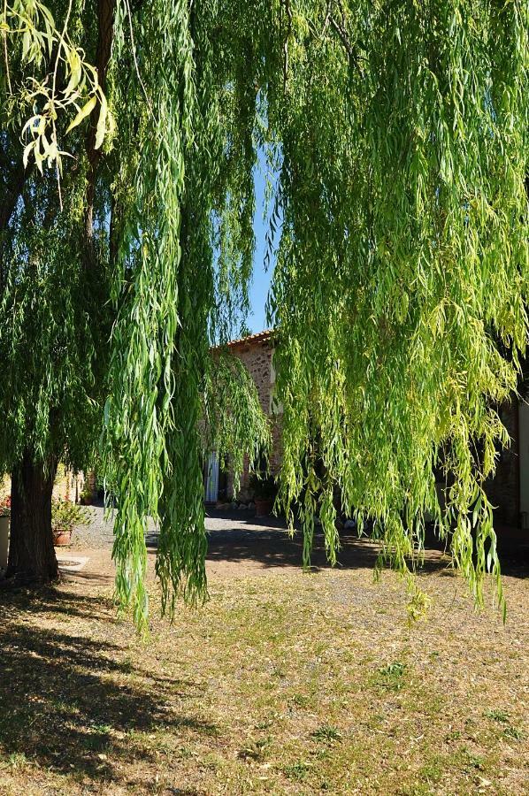 الشقق الفندقية ريباربيلافي  Agriturismo Terenzana المظهر الخارجي الصورة
